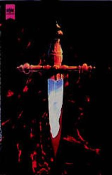 Unheiliges Feuer. Roman