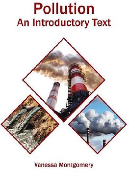 Pollution: An Introductory Text
