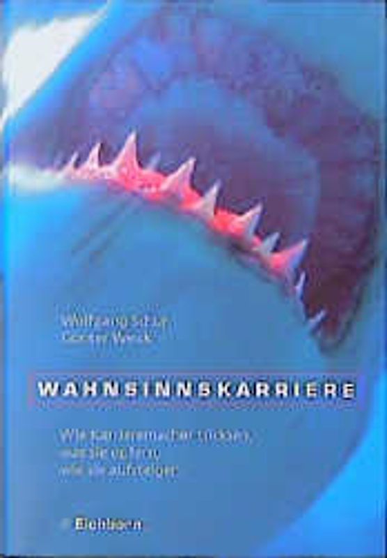 Wahnsinnskarriere