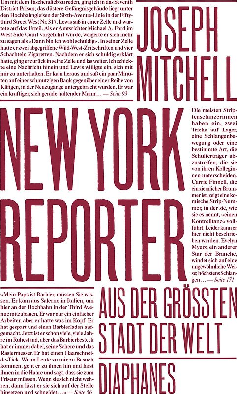 New York Reporter
