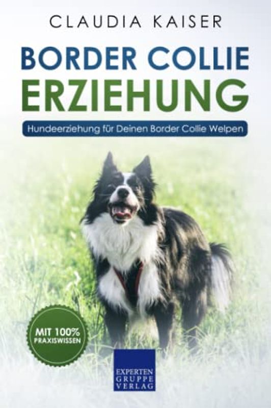 Border Collie Erziehung: Hundeerziehung für Deinen Border Collie Welpen (Border Collie Band, Band 1)