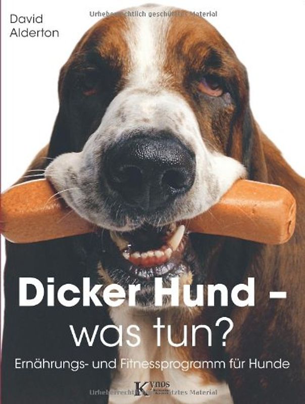 Dicker Hund - was tun?
