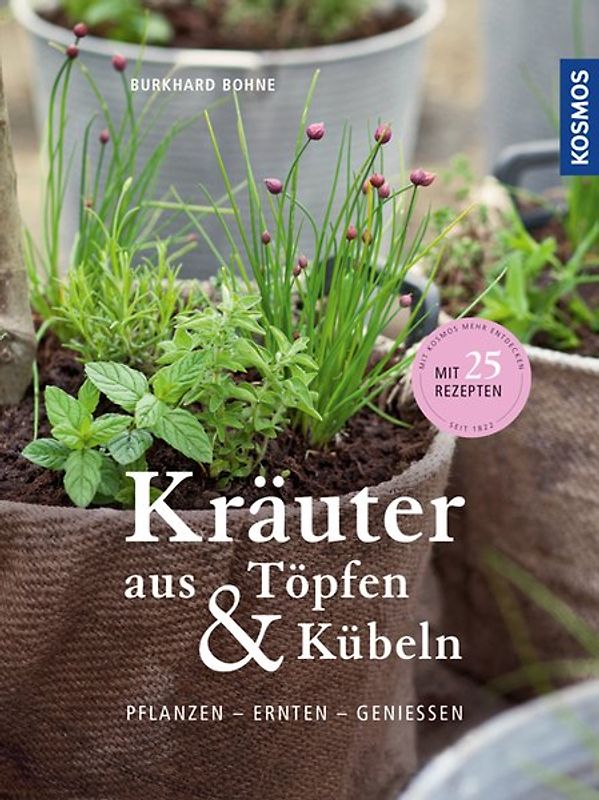 Kräuter aus Töpfen und Kübeln