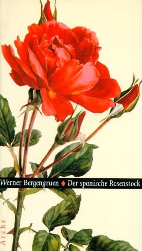 Der spanische Rosenstock