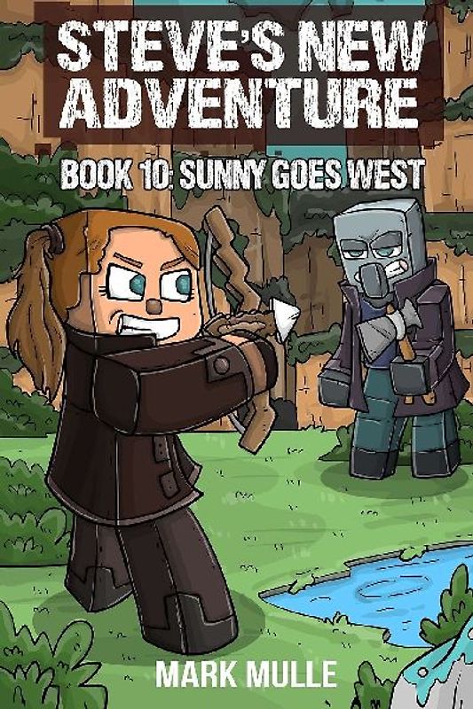 Steve's New Adventure Book 10