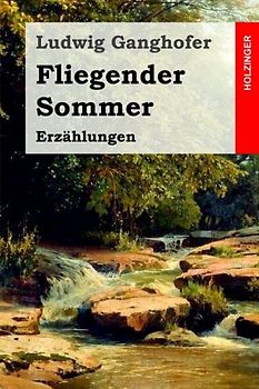 Fliegender Sommer: Erzählungen