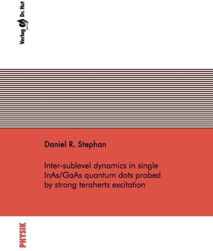 Inter-sublevel dynamics in single InAs/GaAs quantum dots probed by strong terahertz excitation