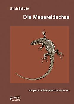 Die Mauereidechse