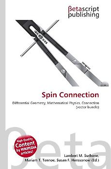 Spin Connection