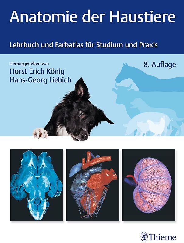 Anatomie der Haustiere