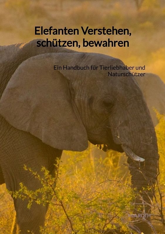 Elefanten Verstehen, schützen, bewahren