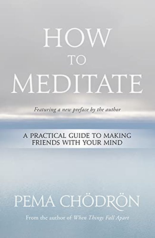 How to Meditate: A Practical Guide to Making Friends With Your Mind