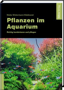 Pflanzen im Aquarium