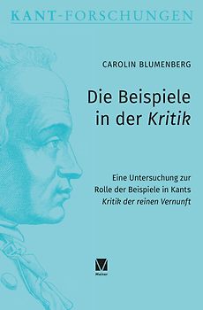 Die Beispiele in der Kritik