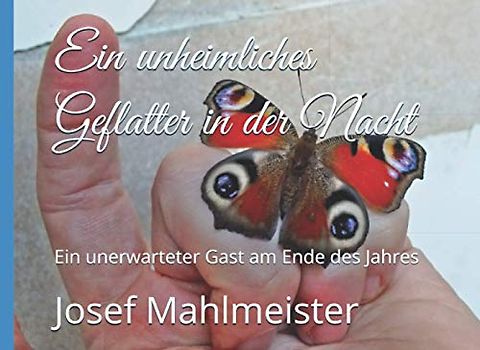 Ein unheimliches Geflatter in der Nacht: Ein unerwarteter Gast am Ende des Jahres (Schmetterlinge, Band 4)