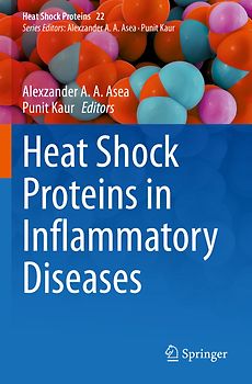 Heat Shock Proteins in Inflammatory Diseases