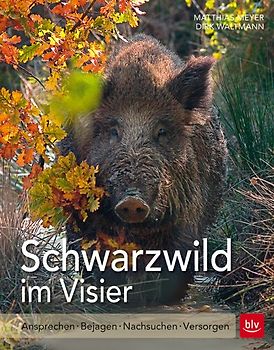 Schwarzwild im Visier