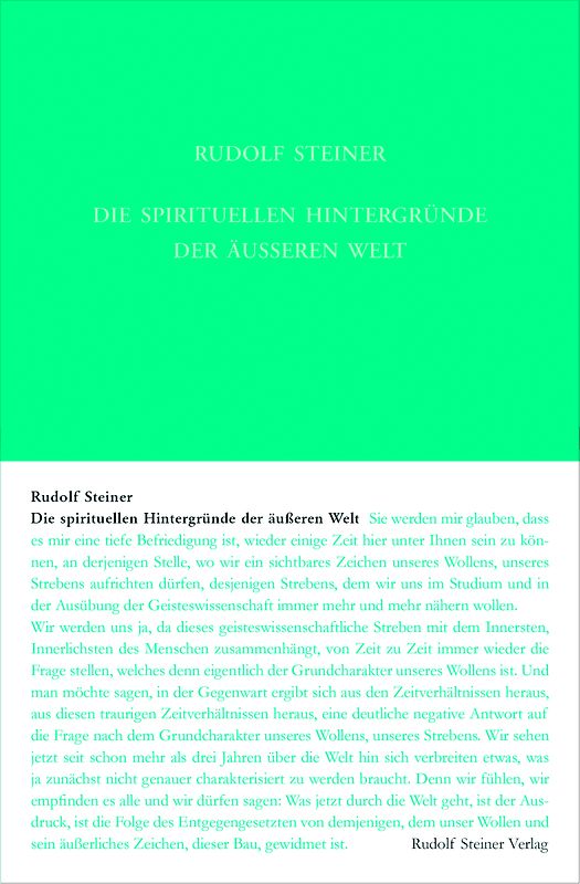 Die spirituellen Hintergründe der äußeren Welt. Der Sturz der Geister der Finsternis: Vierzehn Vorträge, Dornach, 1917: Der Sturz der Geister der ... Gesamtausgabe: Schriften und Vorträge)