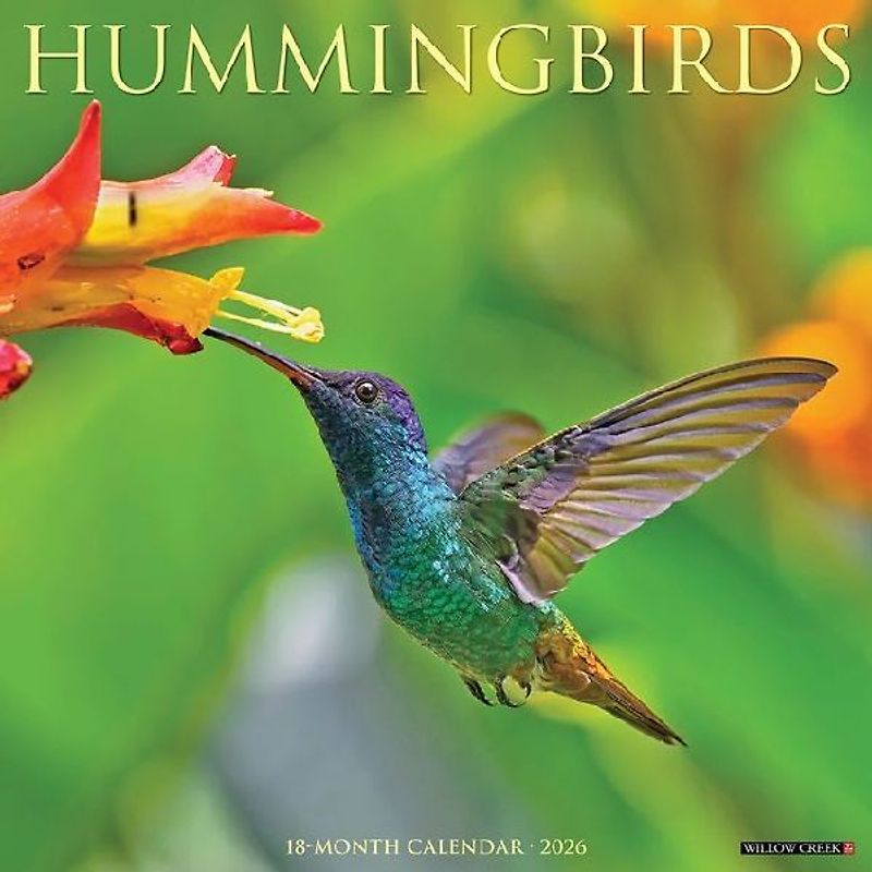 Hummingbirds 2026 12 X 12 Wall Calendar