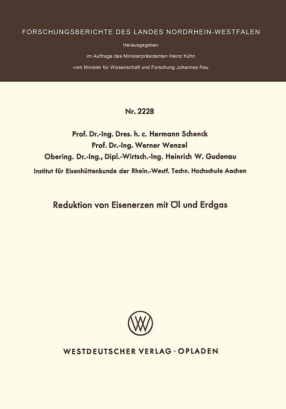 Reduktion von Eisenerzen mit Öl und Erdgas