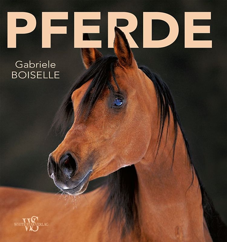 Pferde