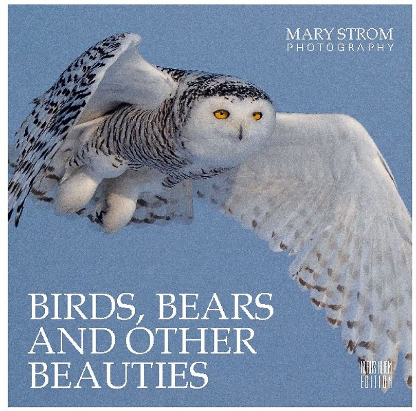 Birds, Bears and other Beauties