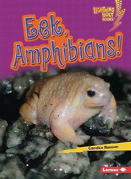 Eek, Amphibians!