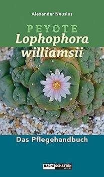 Peyote - Lophophora williamsii