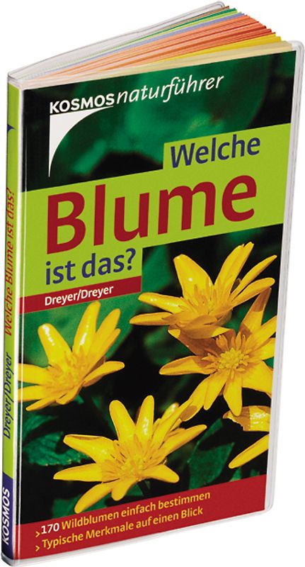 Welche Blume ist das?