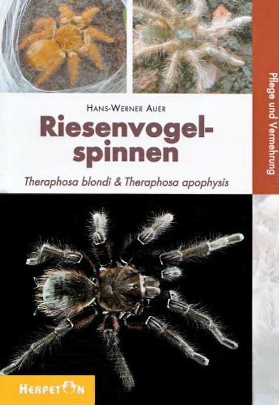 Riesenvogelspinnen
