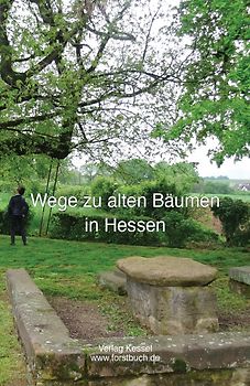Wege zu alten Bäumen in Hessen