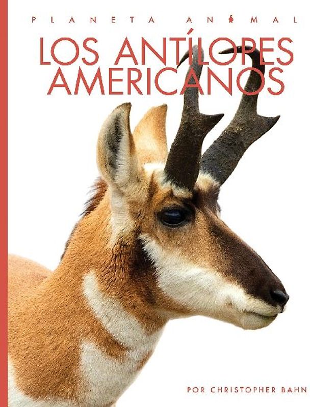 Los Antilopes Americanos