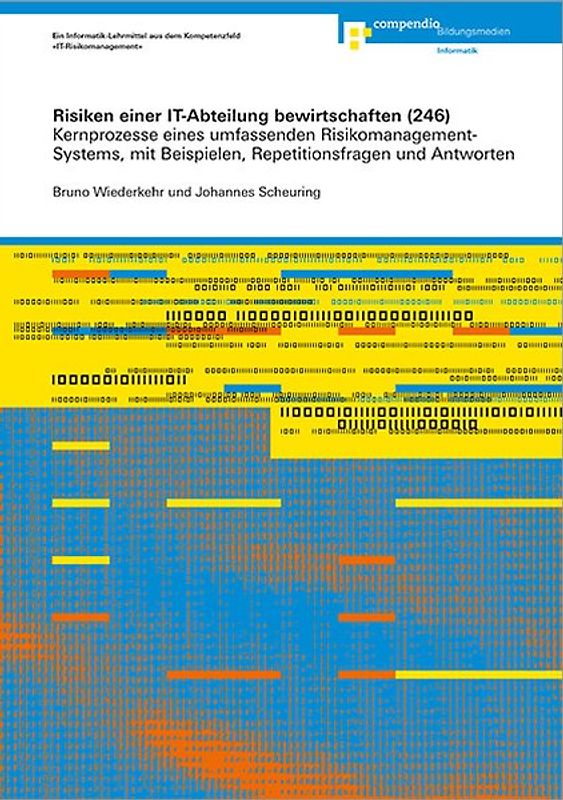 Risiken einer IT-Abteilung bewirtschaften (246)