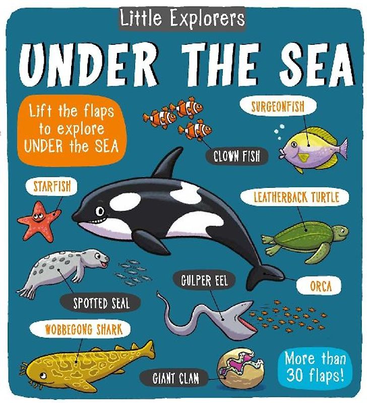 Little Explorers: Under the Sea