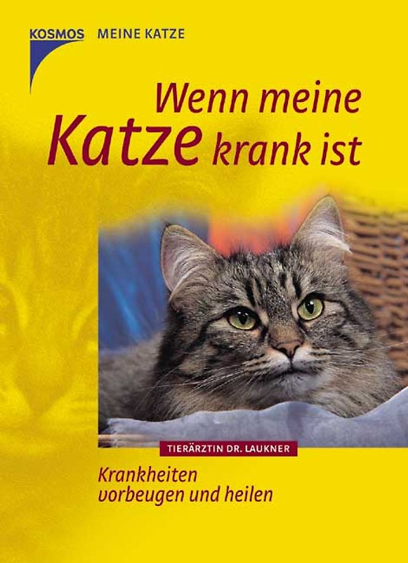 Wenn meine Katze krank ist