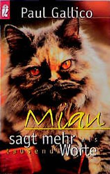 Miau sagt mehr als tausend Worte