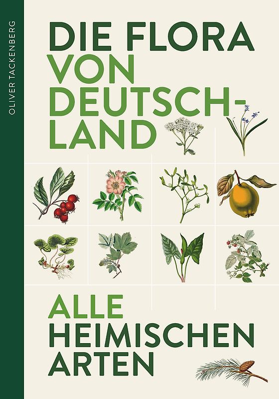 Die Flora von Deutschland. Alle heimischen Arten