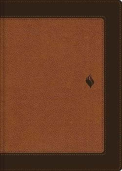 Rvr60, Biblia de Estudio de la Vida Plena, Edición Clásica, Leathersoft DOS Tonos Café, Palabras de Jesús En Rojo, Comfort Print
