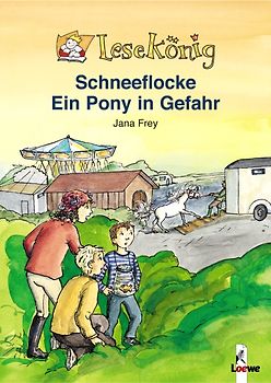 Schneeflocke - Ein Pony in Gefahr