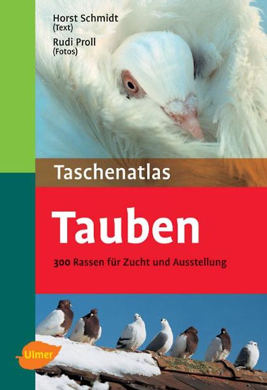 Tauben