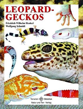 Leopardgeckos