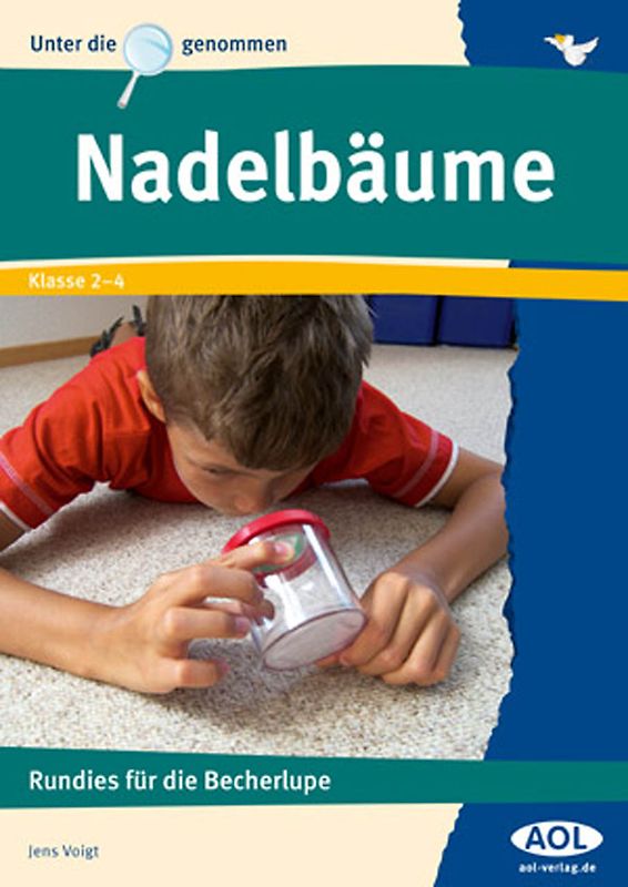 Nadelbäume. Rundies für die Becherlupe (2. bis 4. Klasse)
