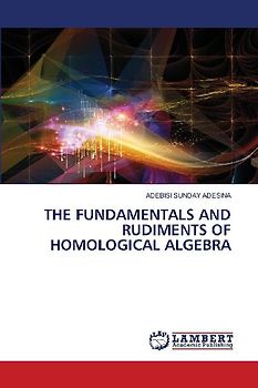 THE FUNDAMENTALS AND RUDIMENTS OF HOMOLOGICAL ALGEBRA