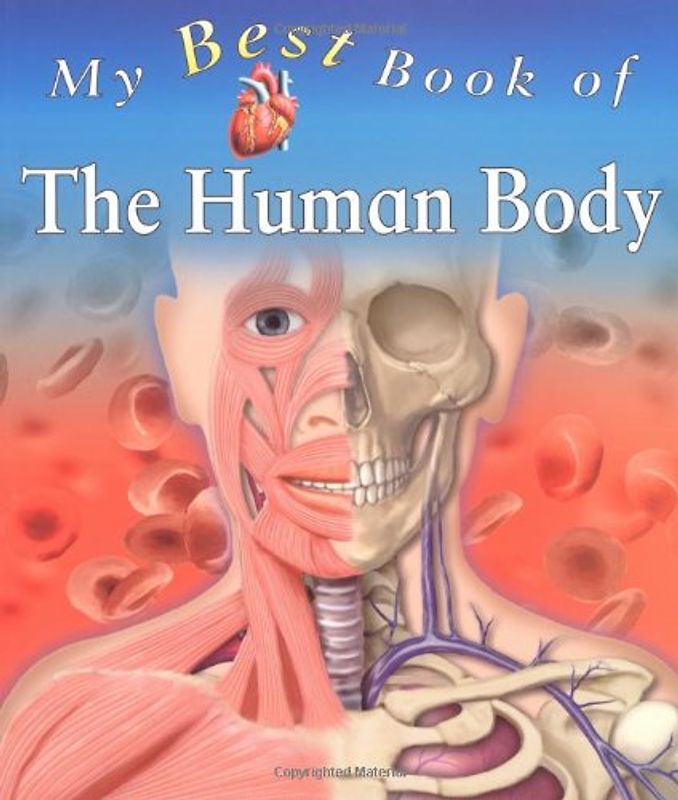 My Best Book of the Human Body