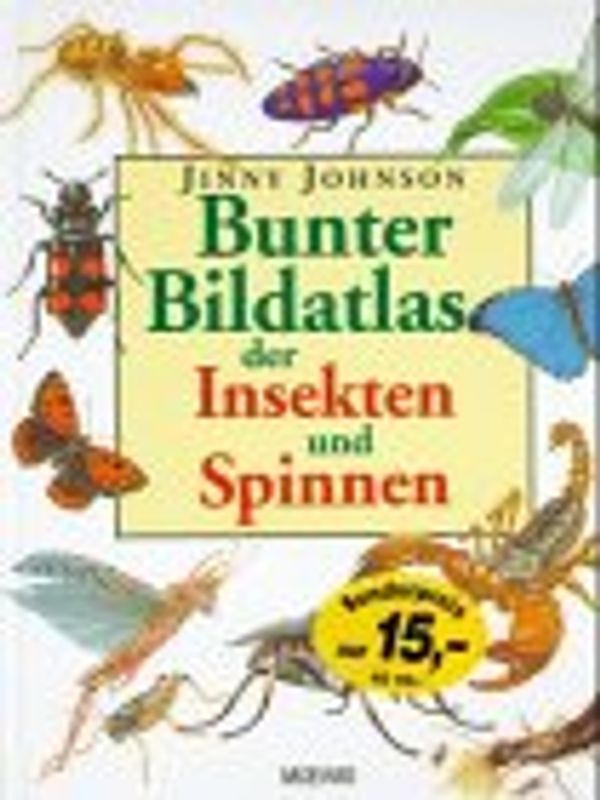 Bunter Bildatlas der Insekten und Spinnen