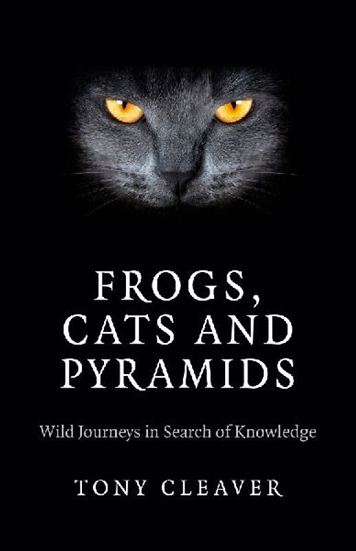Frogs, Cats and Pyramids