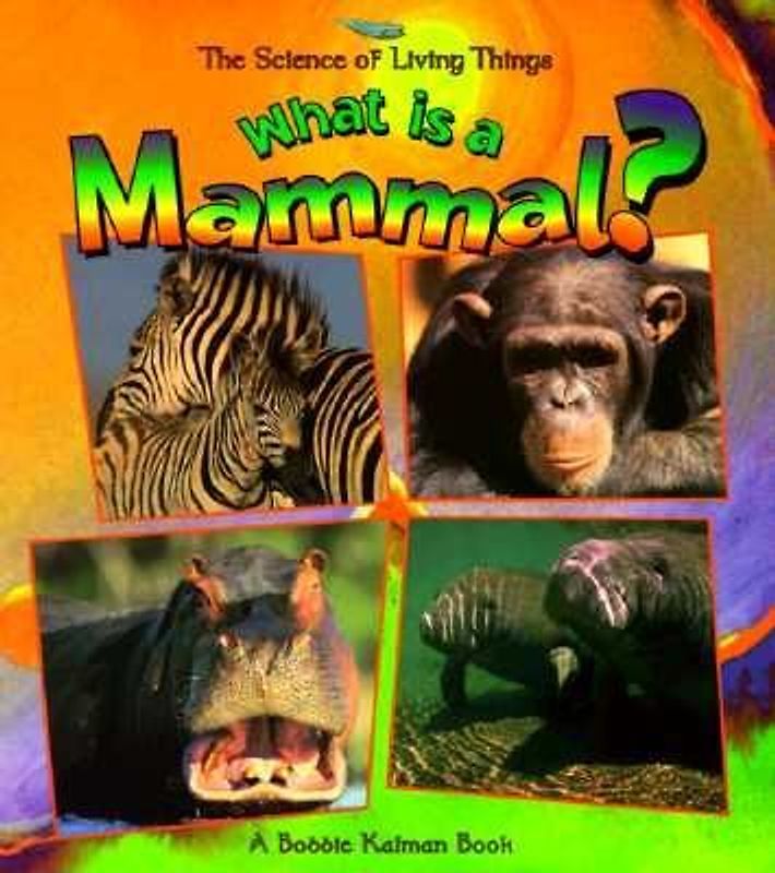 What Is a Mammal?
