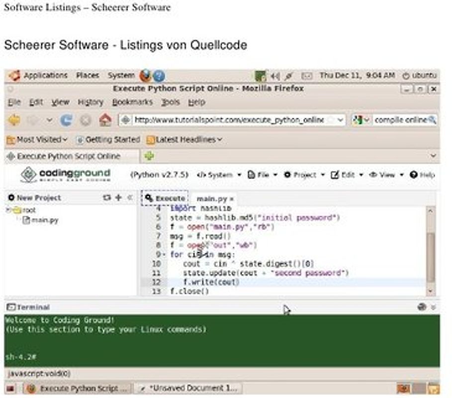Scheerer Software - Das Buch