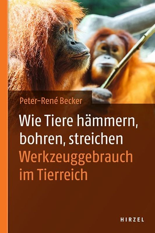 Wie Tiere hämmern, bohren, streichen