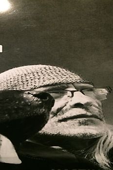 Ein Leben unter Hunden